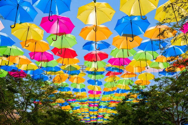 Beautiful display of colorful hanging umbrellas in a outdoor plaza in Miami in Coral Cables, one of ...