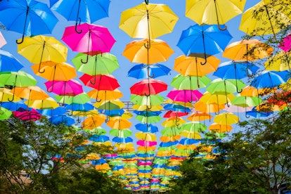 Beautiful display of colorful hanging umbrellas in an outdoor plaza in Miami in Coral Cables, one of the...