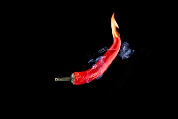 Chilli peppers isolated. Spicy chile cayenne pepper with abstract fog or steam mist cloud. Red hot c...