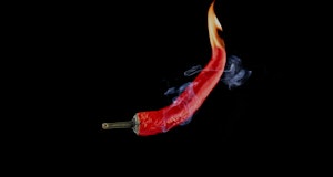 Chilli peppers isolated. Spicy chile cayenne pepper with abstract fog or steam mist cloud. Red hot c...