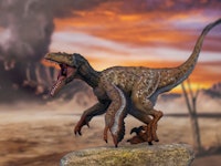 Feathered velociraptor with open mouth in jurassic land with volcano in the background.