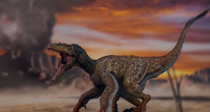 Feathered velociraptor with open mouth in jurassic land with volcano in the background.
