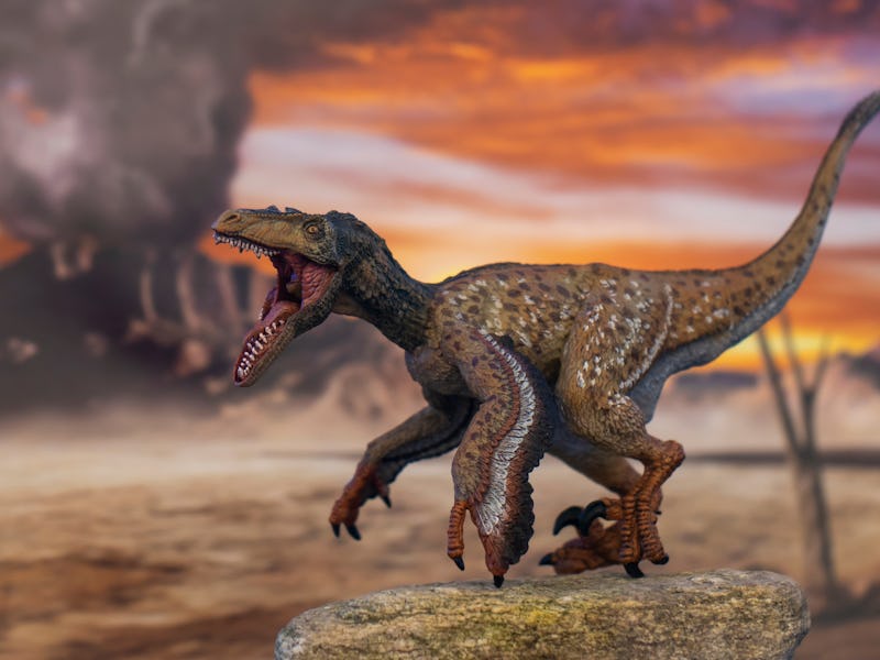 Feathered velociraptor with open mouth in jurassic land with volcano in the background.