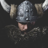 Danger, Viking warrior with iron sword and helmet with horns