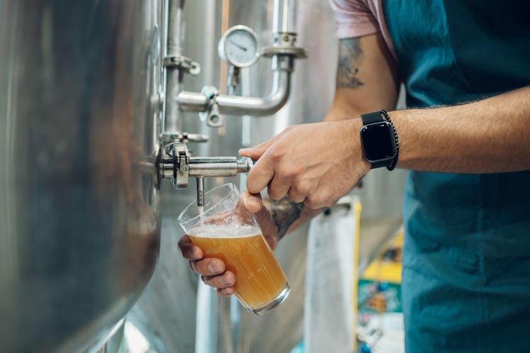 Portrait of a bearded man working in a brewery and checking quality of the craft beer. Brewery owner...
