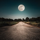 Landscape of night sky and bright full moon above wilderness area. Asphalt road leading into the for...