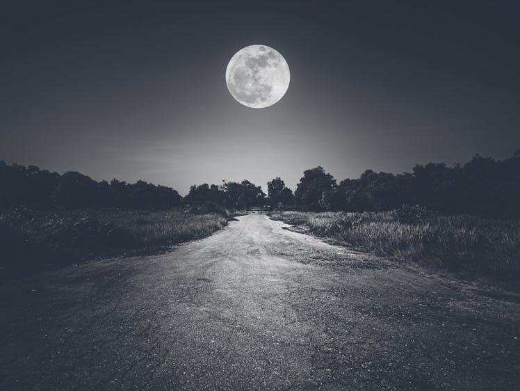 Landscape of night sky and bright full moon above wilderness area. Asphalt road leading into the for...