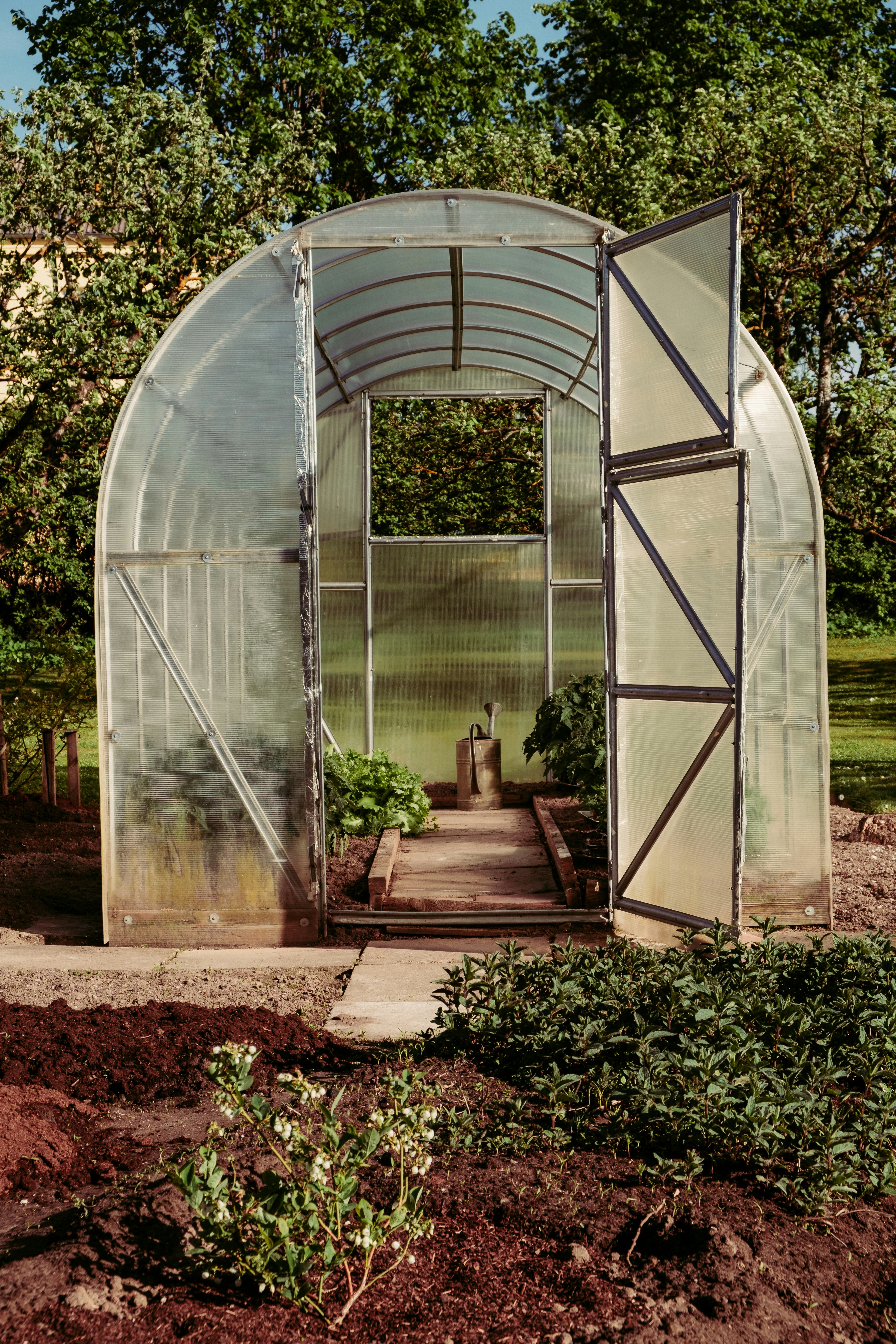 10 Game-Changing Late-Summer Gardening Tips