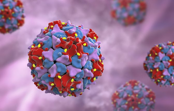 Poliovirus, an RNA virus from Picornaviridae family that causes polio disease, 3D illustration