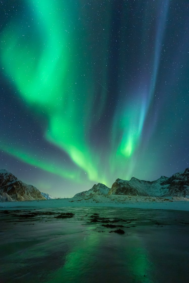 Northern Lights on the night sky. Aurora Borealis over Skagsanden beach on Lofoten Islands. Northern...