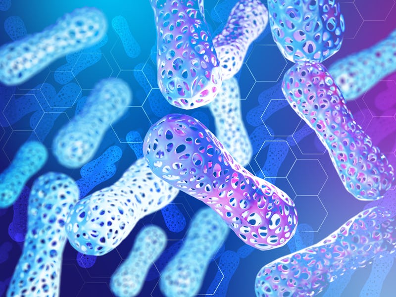 microbiome of human body. Probiotics in immune system. Probiotic background. Microbiome elements on ...