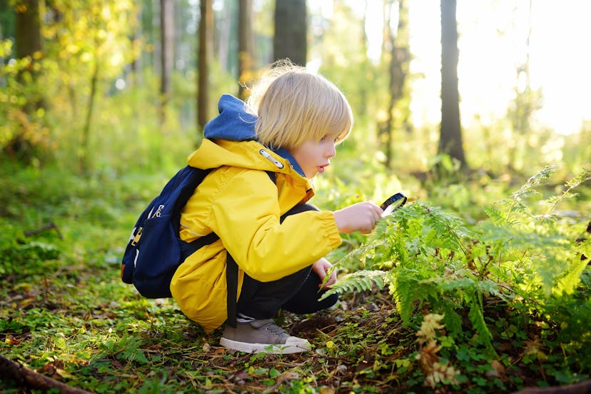 Preschooler boy is exploring nature with magnifying glass. 