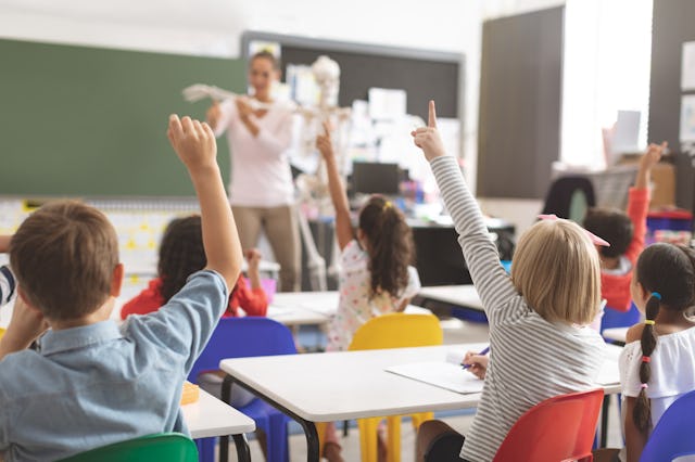 Florida teachers are quitting in light of Gov. DiSantis' new curriculum. Here is a rear view of kids...