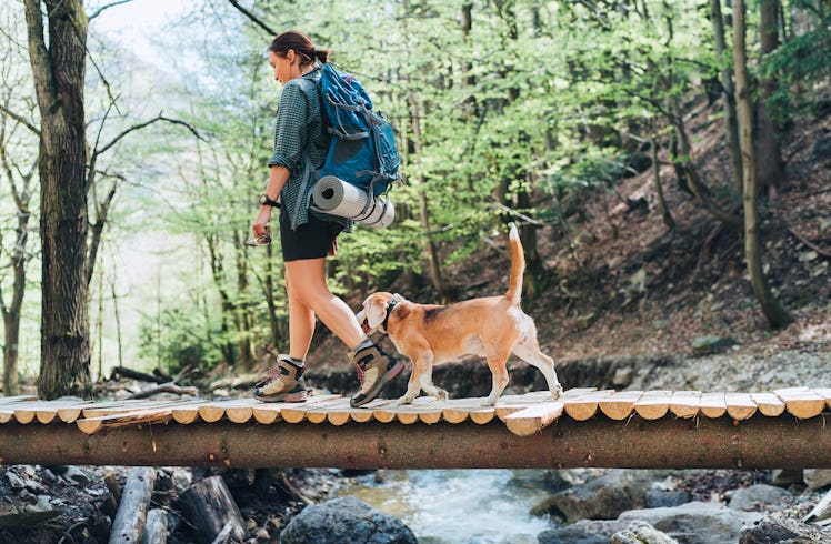 Middle-aged backpacker female with a backpack in trekking boots crossing mountain river bridge in th...