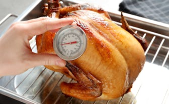 Woman measuring temperature of whole roasted turkey with meat thermometer, closeup