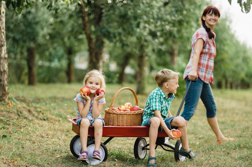 These funny Instagram captions for apple picking are so perfect and full of puns.