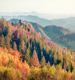 Colorful autumn scene of Carpathians. Impressive morning view of Sokilsky ridge, Ukraine, Europe. 