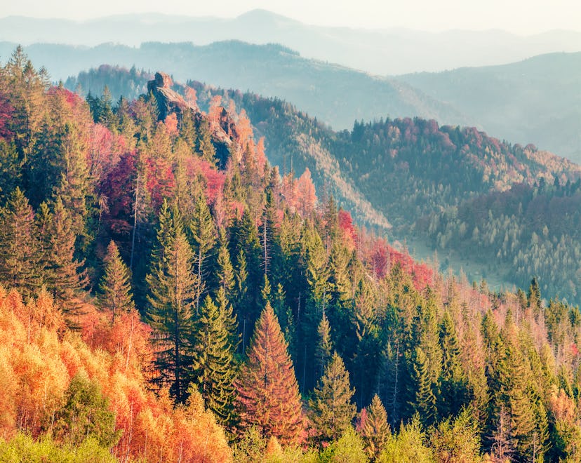 Colorful autumn scene of Carpathians. Impressive morning view of Sokilsky ridge, Ukraine, Europe. 