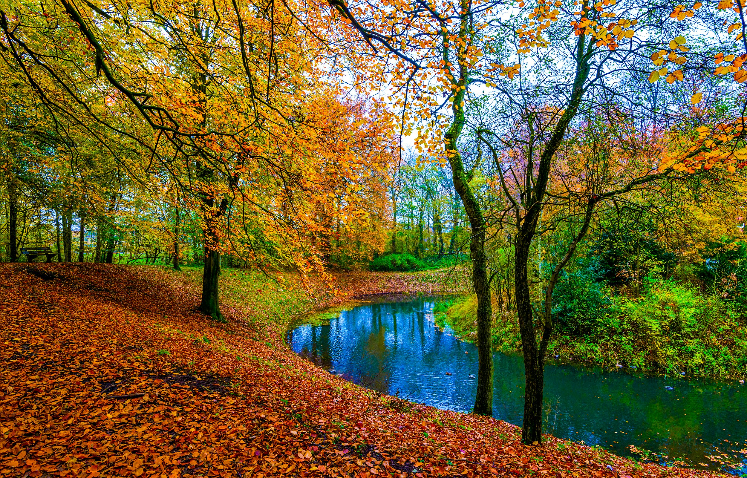 7 Symbolic Meanings Of Autumn You Should Know