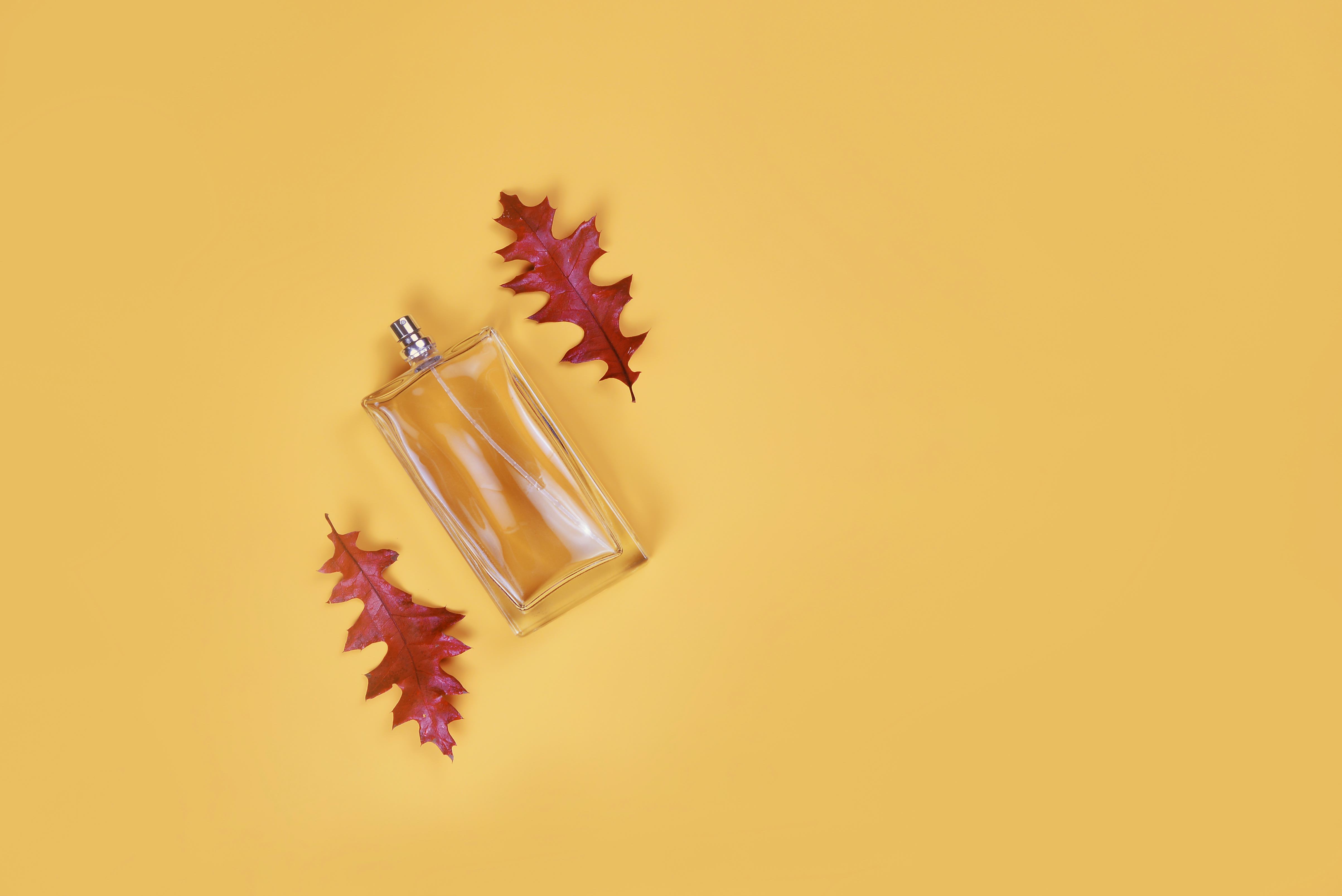 Eau de toilette in a transparent bottle and autumn red leaves oak lies beautifully on a yellow backg...
