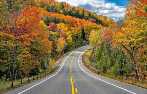 Why is Autumn called Fall?