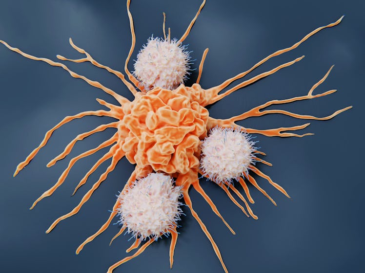 Natural killer attacking a cancer cell. They  are lymphocytes that target virus infected cells and t...