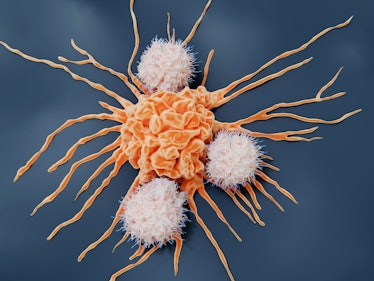 Natural killer attacking a cancer cell. They  are lymphocytes that target virus infected cells and t...