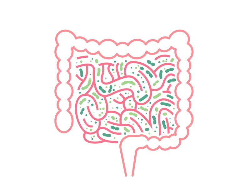 Lactobacillus Probiotics Icon. Normal gram-positive anaerobic microflora sign. Editable vector illus...