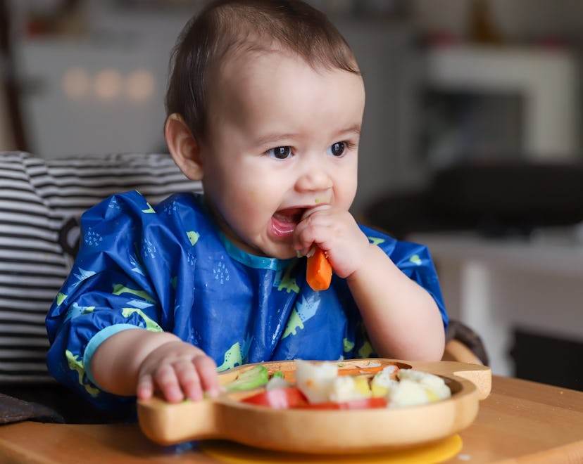 baby eating finger food as part of baby led weaning