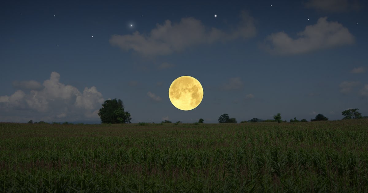 Wann es seinen Höhepunkt erreicht, wie man es sieht, Bedeutung des Namens Wann es seinen Höhepunkt erreicht, wie man es sieht, Bedeutung des Namens