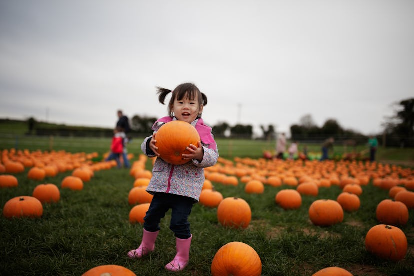 Preschooler holding a pumpkin in a pumpkin patch in an article about Instagram captions for pumpkin ...