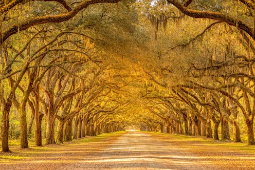 fall weekend getaways