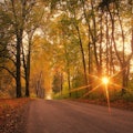 Autumn, fall scene. Autumnal landscape with empty countryside road and colored trees.  Sun shining t...