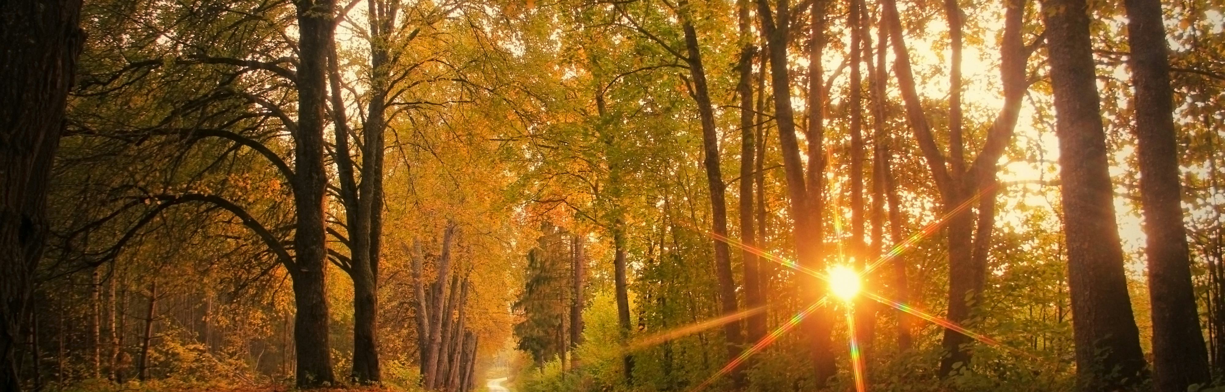 Fall Equinox 2022 Date Time And Opportunities For Astronomy During fall-equinox-2022-date-time-and-opportunities-for-astronomy-during