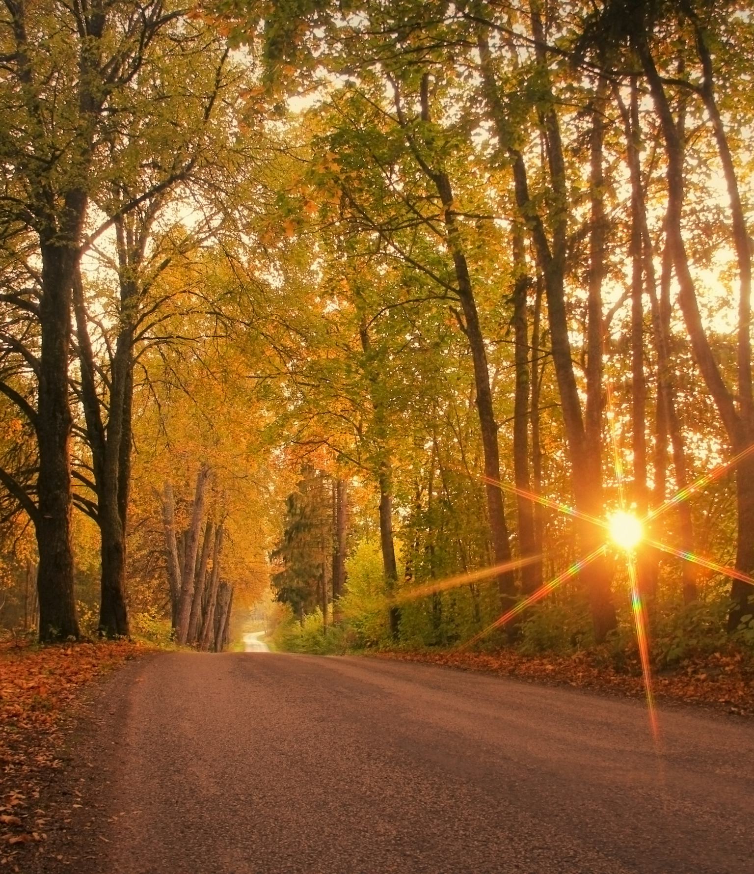 Fall Equinox 2022 Date Time And Opportunities For Astronomy During fall-equinox-2022-date-time-and-opportunities-for-astronomy-during