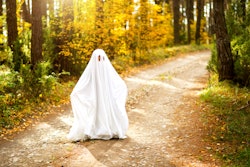 A child in sheets with slits like a ghost costume in an autumn forest scares and terrifies. A kind l...