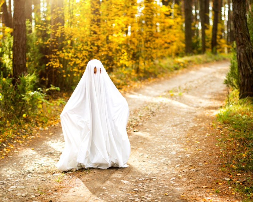 A child in sheets with slits like a ghost costume in an autumn forest scares and terrifies. A kind l...