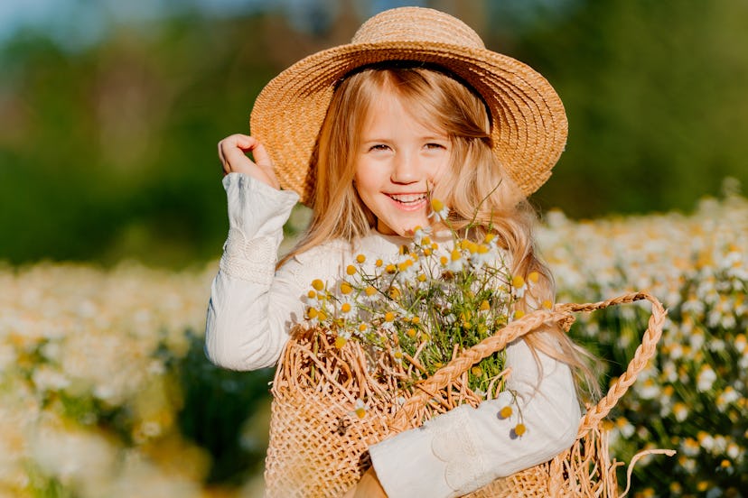 Cute little blonde girl in a cotton dress and straw hat walks in a field of daisies collects them in...