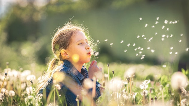 A little girl blowing dandelions in a field. Violet is a popular girl name that starts with V.