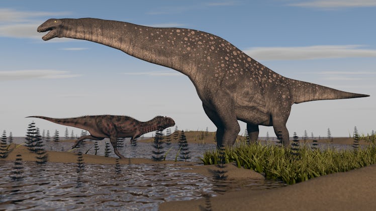 titanosaurus in swamp grass