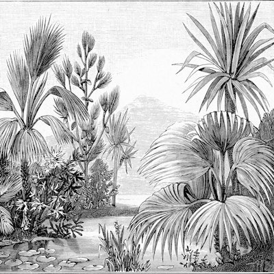 Landscape of the Eocene Era in Aix en Provence, vintage engraved illustration. From the Universe and...