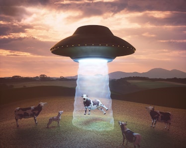 3D illustration. Cow on the farm being pulled by the tractor beam of the alien spacecraft.