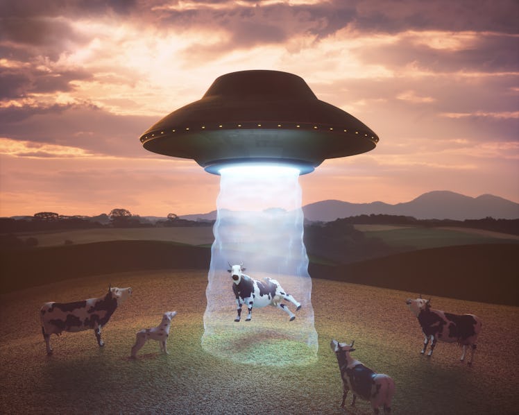 3D illustration. Cow on the farm being pulled by the tractor beam of the alien spacecraft.
