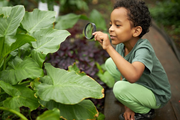 Boy looking at plant using magnifying glass. Xhemel is a unique boys name that begins with X.