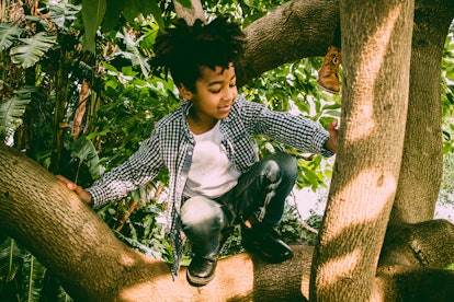 A little boy plays in an avocado tree. Fairy names are an uncommon but fun option for new parents.