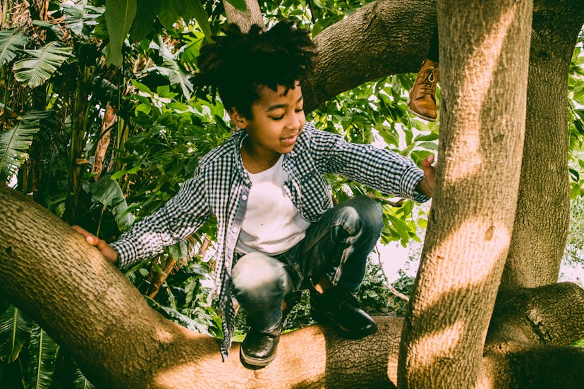 A little boy plays in an avocado tree. Fairy names are an uncommon but fun option for new parents.