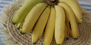 Fresh bananas. Ambon banana. Ambon banana is the name of one type of banana. it doesn't mean that th...