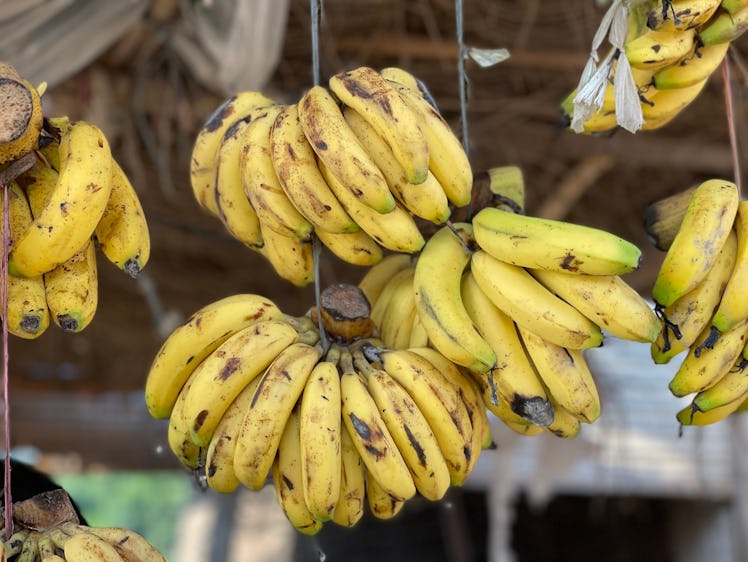 The close up of banana.Banana background.banana fruit is so beautiful.Hanging banana.The close up of...