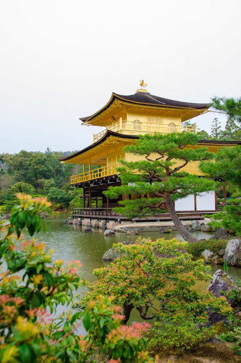 temple shrine japan religion park sakura Spring