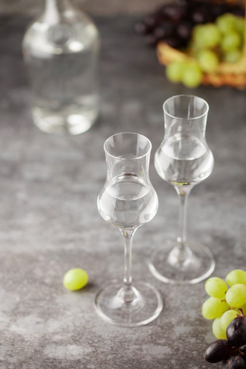 Grape vodka or grappa